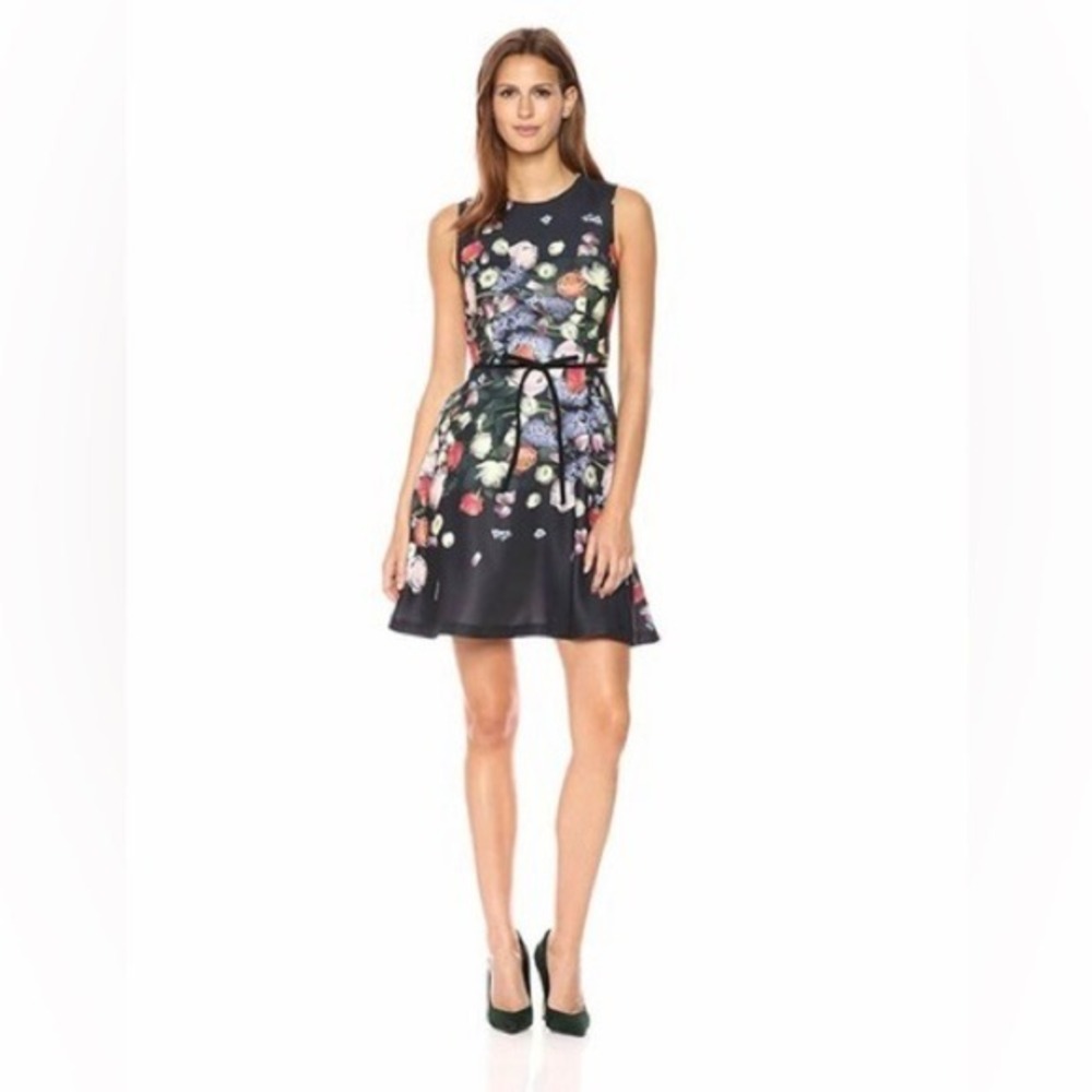 Ted Baker Izobela Kensington Floral Dress